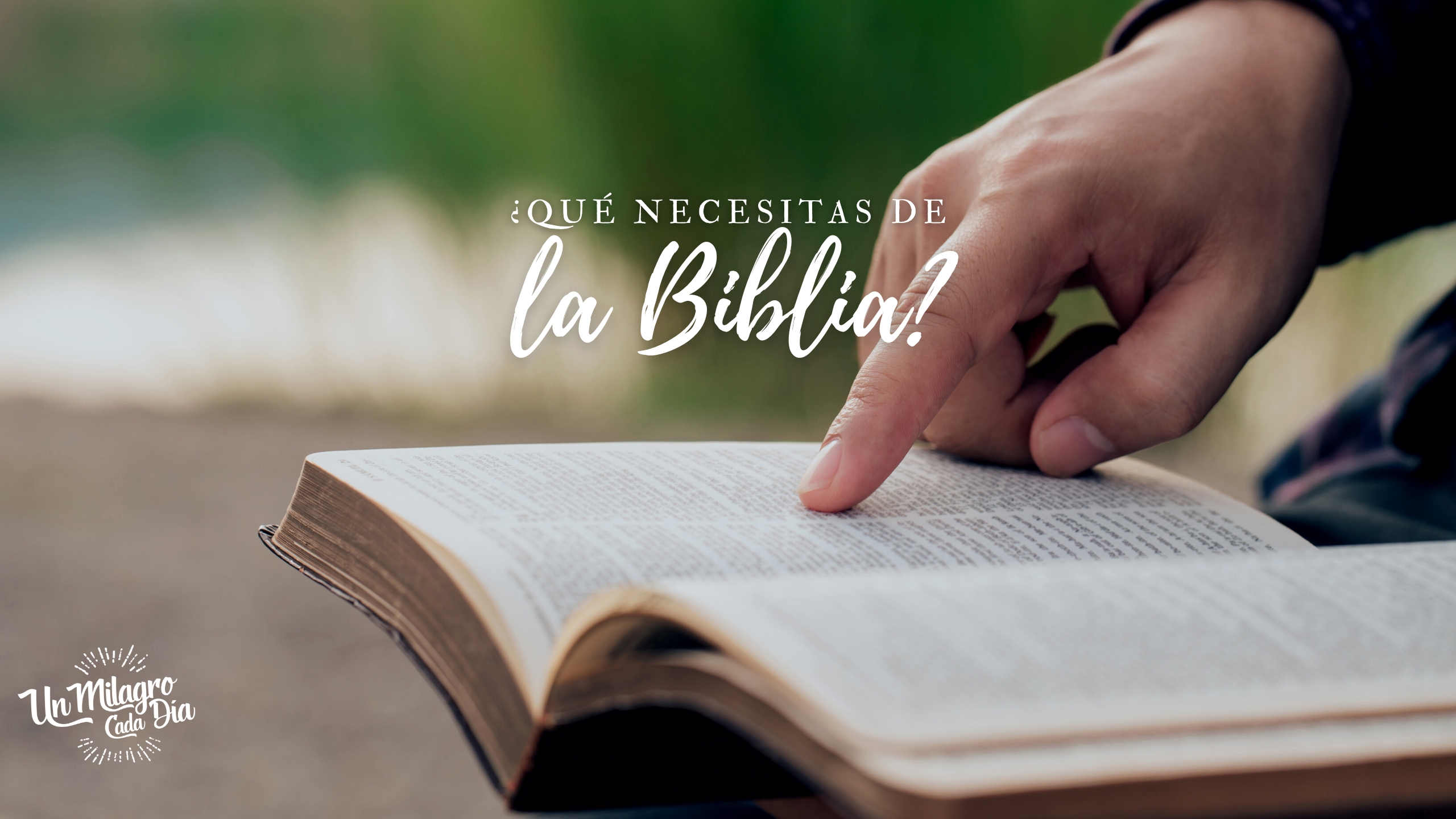 📖 ¿qué Necesitas De La Biblia En Esta Etapa 4901
